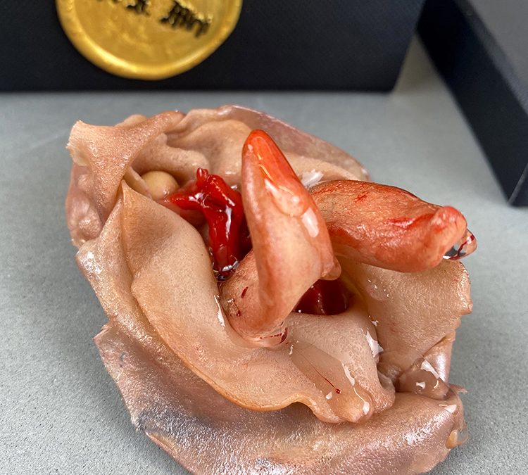 Broche Lengua