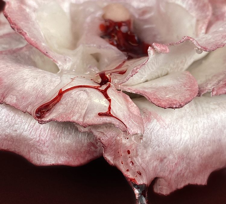 White Rose
